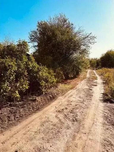 Участок в Волгоградская область, Среднеахтубинский район, Клетское ... - Фото 0