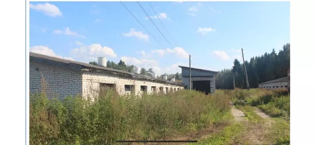 Помещение свободного назначения в Вологодская область, Череповецкий ... - Фото 0