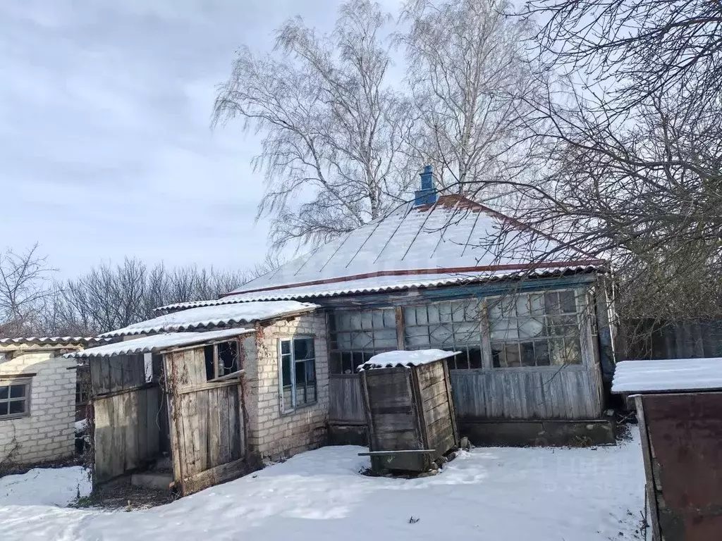 Дом в Белгородская область, Ровеньский район, с. Свистовка ул. ... - Фото 1