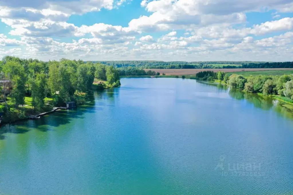 Участок в Московская область, Домодедово городской округ, с. Красный ... - Фото 2