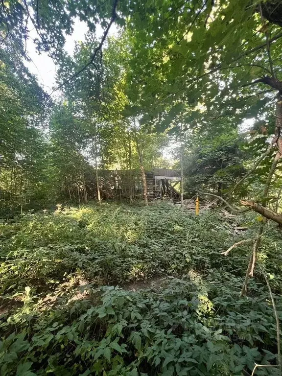 Участок в Ленинградская область, Кингисеппский район, Котельское ... - Фото 2