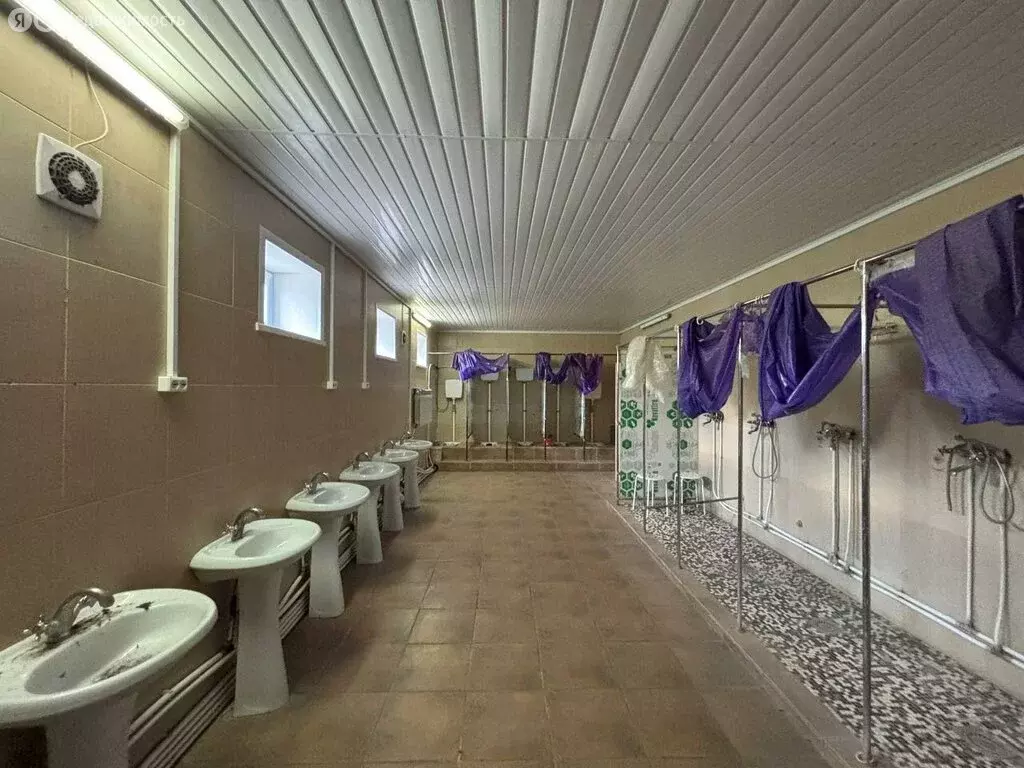 Офис (600 м) - Фото 0