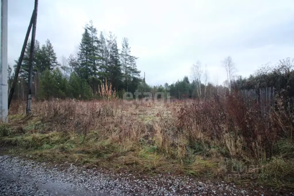 Участок в Свердловская область, Горноуральский муниципальный округ, ... - Фото 1