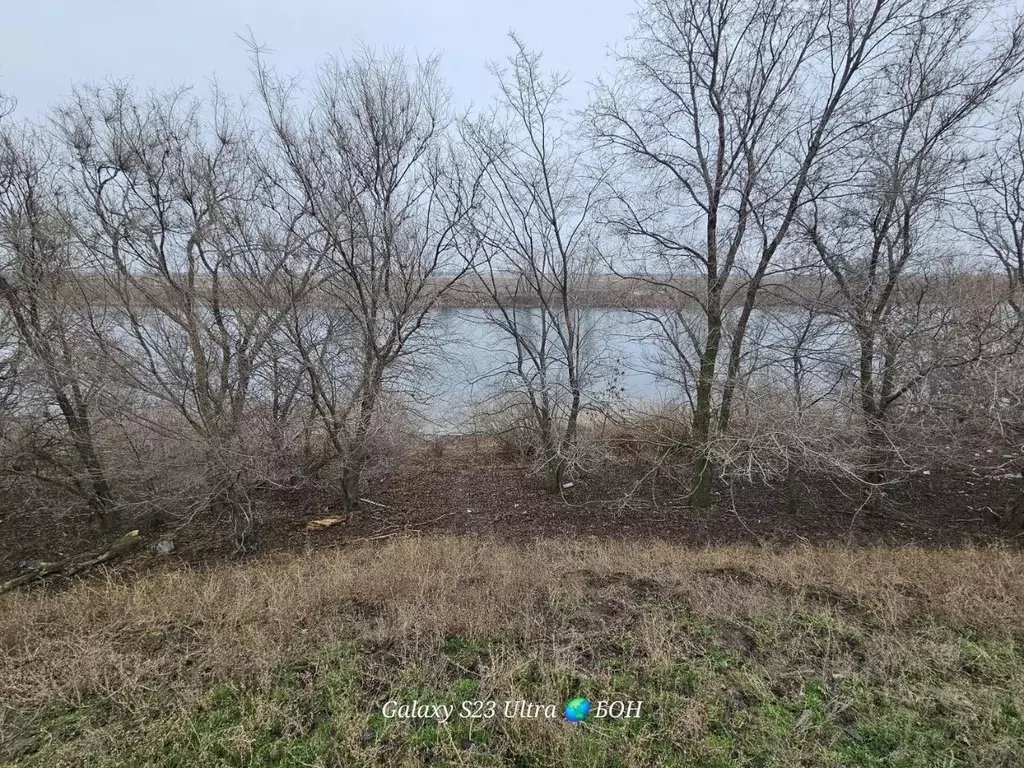 Участок в Саратовская область, Балаковский район, Быково-Отрогское ... - Фото 1