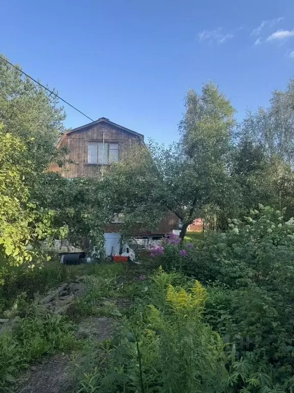 Дом в Ленинградская область, Кировское городское поселение, Грибное ... - Фото 1