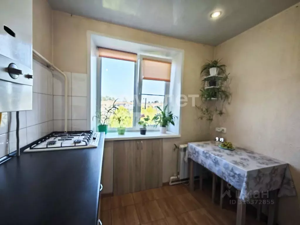 1-к кв. Новгородская область, Великий Новгород ул. Ломоносова, 4 (30.2 ... - Фото 0