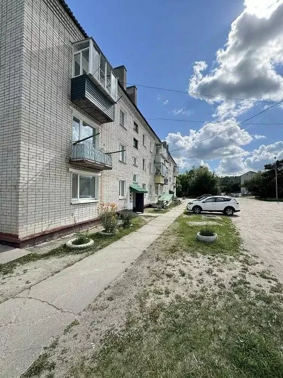 3-к кв. Амурская область, Благовещенск городской округ, с. Белогорье ... - Фото 1