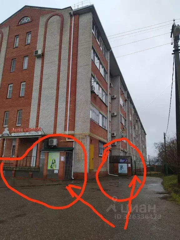 Помещение свободного назначения в Краснодарский край, Каневская ст-ца ... - Фото 1