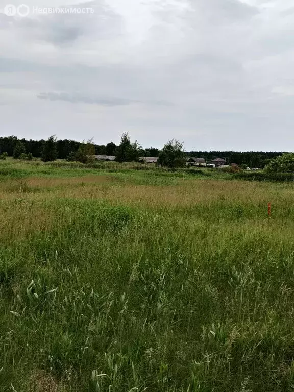 Участок в Курган, Хуторская улица (13 м) - Фото 1