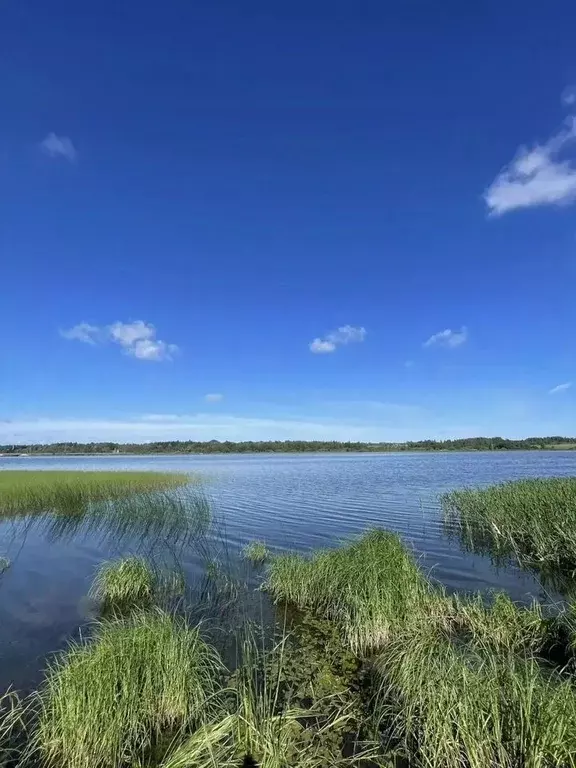 Участок в Московская область, Рузский муниципальный округ  (18.0 сот.) - Фото 2