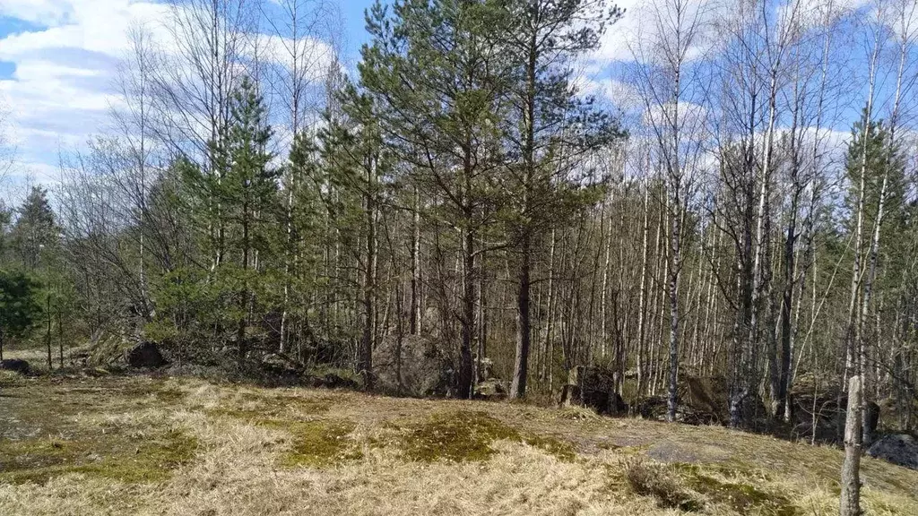 Участок, 12 сот., поселения (ижс) - Фото 1