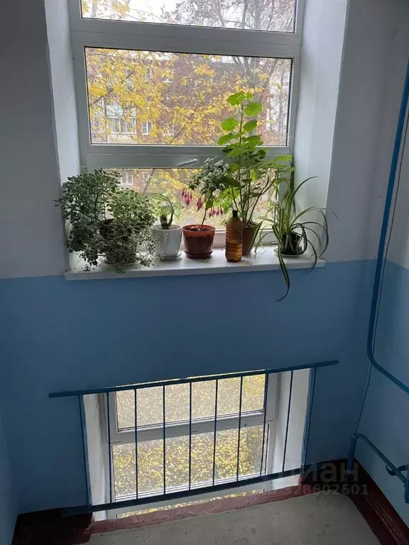 2-к кв. Московская область, Подольск ул. Батырева, 4/3 (41.6 м) - Фото 1