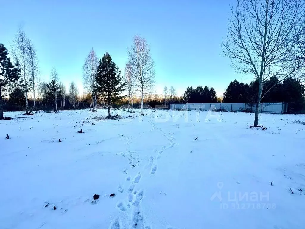 Участок в Тюменская область, Тюменский район, д. Головина  (10.0 сот.) - Фото 0