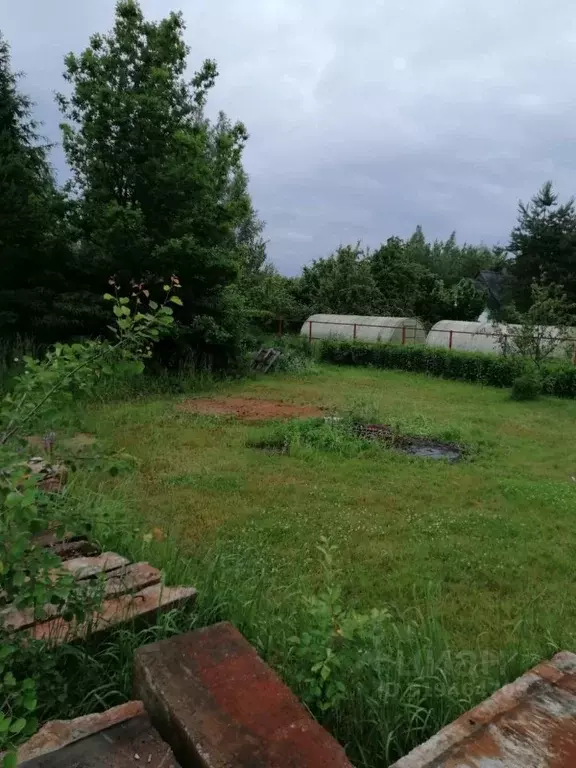 Участок в Ленинградская область, Сосновый Бор Эхо кп,  (10.0 сот.) - Фото 0