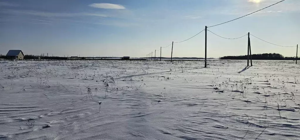 Участок в Московская область, Луховицы  (30.0 сот.) - Фото 1