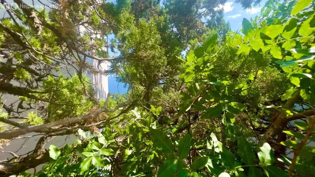 Дом в посёлок городского типа Гаспра, Маратовская улица, 16М (250 м) - Фото 0