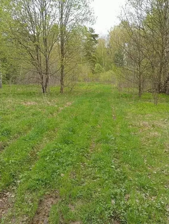 Участок в Московская область, Серпухов городской округ, д. Съяново-1  ... - Фото 1