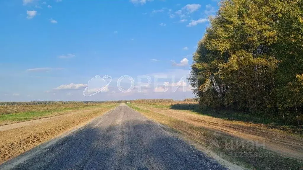 Участок в Тюменская область, Тюменский район, с. Каменка  (5.0 сот.) - Фото 1