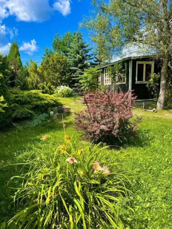 Дом в Калужская область, Жуковский район, Корсаково с/пос, Красная ... - Фото 2
