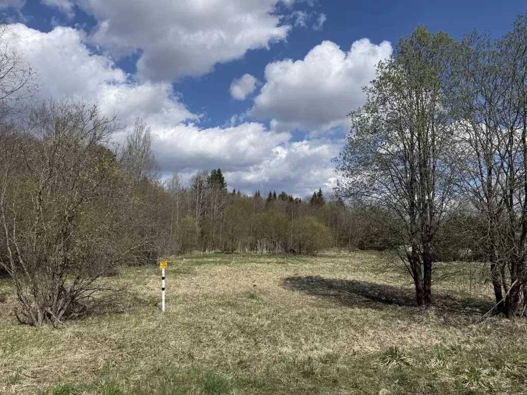 Участок в Вологодская область, Вытегорский муниципальный округ, д. ... - Фото 2