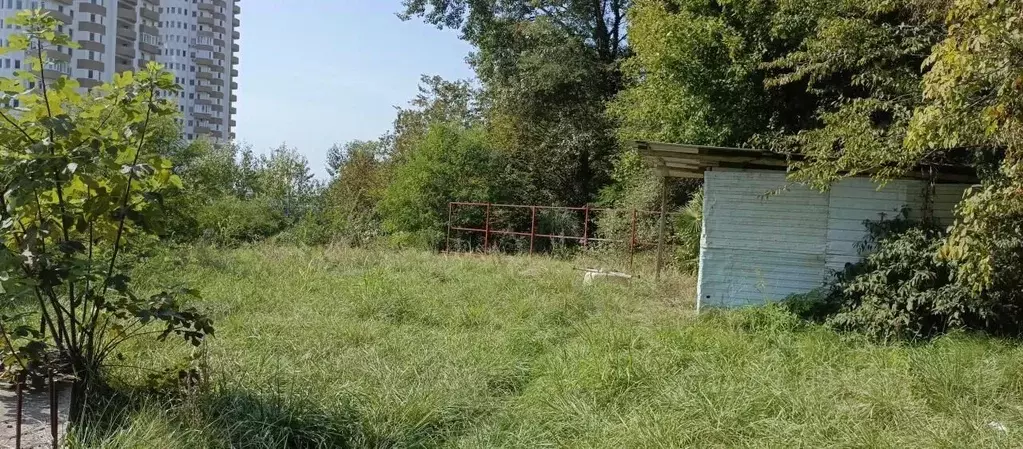 Участок в Краснодарский край, Сочи Теневой пер., 10Ак2 (6.0 сот.) - Фото 2