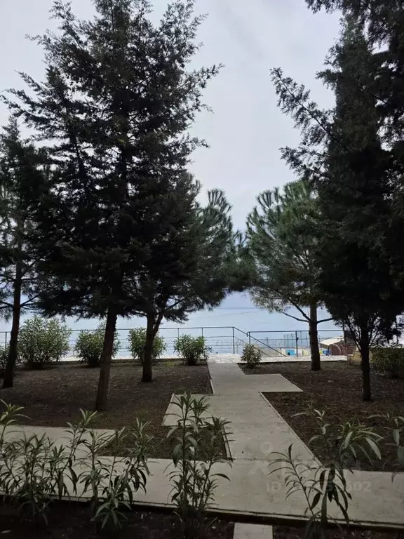 Студия Крым, Ялта муниципальный округ, Ливадия пгт ул. Виноградная, 93 ... - Фото 1