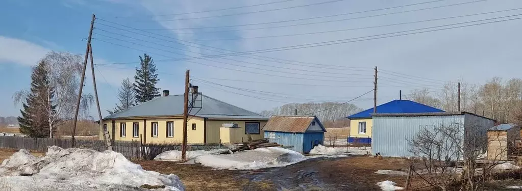 Дом в Алтайский край, Калманский район, пос. Кубанка  (57 м) - Фото 2