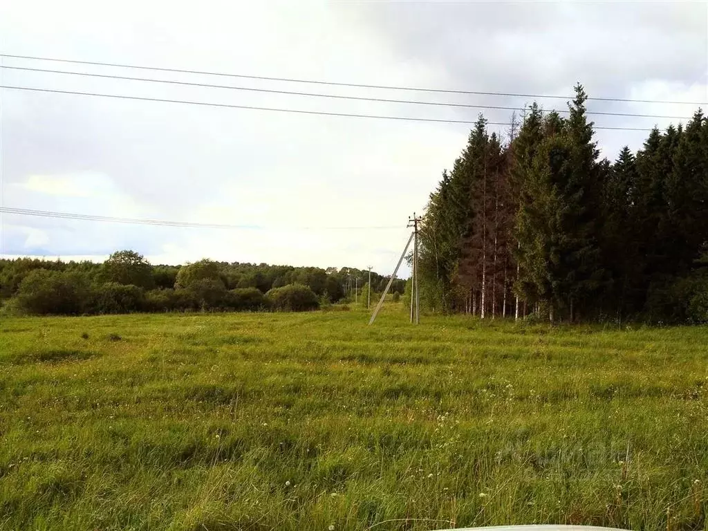 Дом в Ярославская область, Переславль-Залесский муниципальный округ, ... - Фото 2