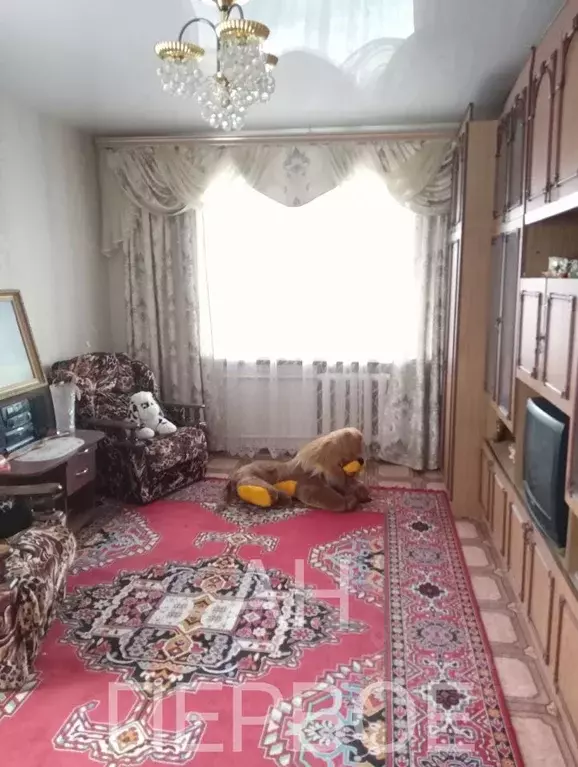 2-к кв. Рязанская область, Скопин Школьный проезд, 12 (45.9 м) - Фото 2