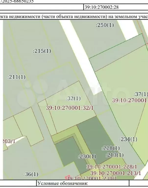 Дом 247 м на участке 35 сот. - Фото 1