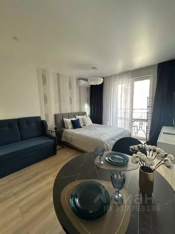 Студия Краснодарский край, Сочи ул. Искры, 88к3 (28.0 м) - Фото 2