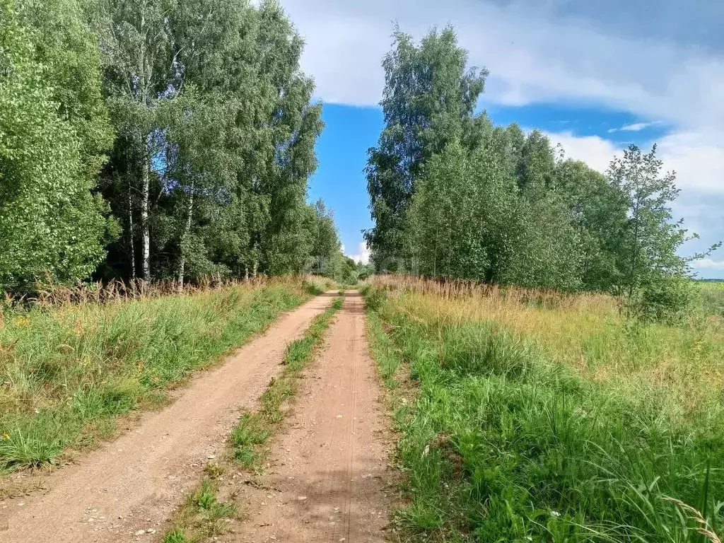 Участок в Псковская область, Пушкиногорский район, Велейская волость, ... - Фото 1
