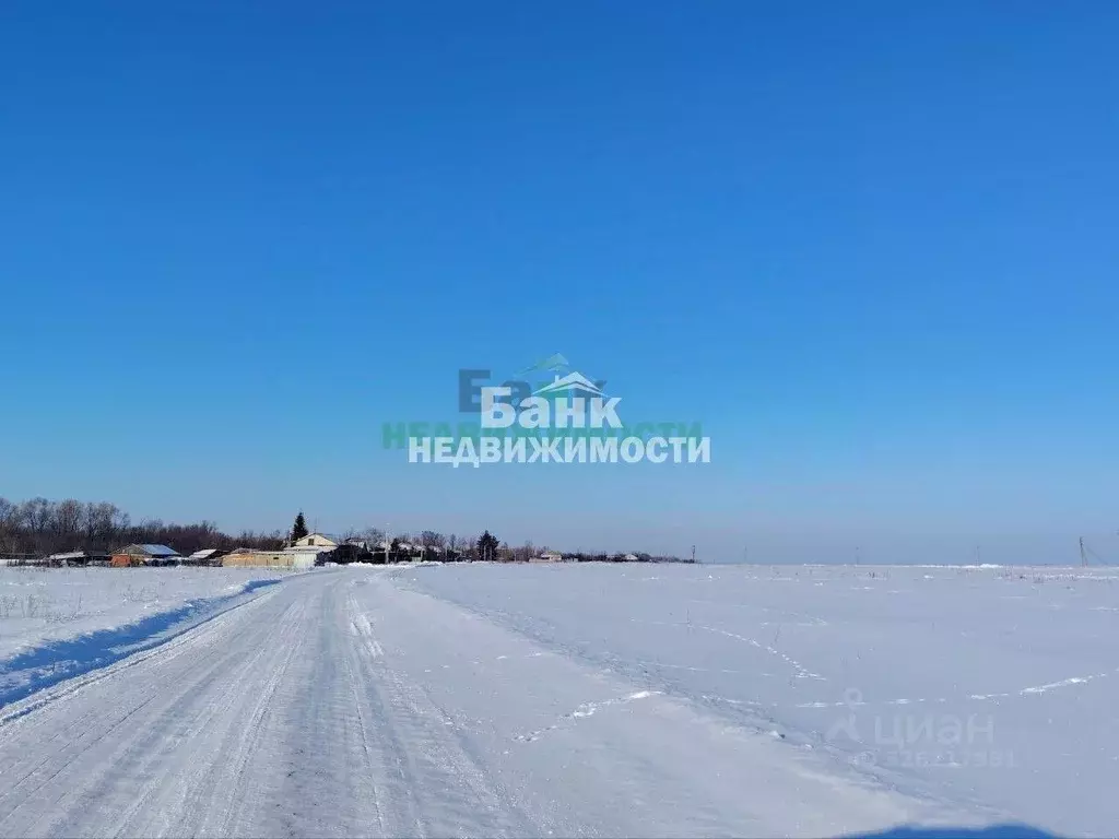 Участок в Саратовская область, Балаковский район, Натальинское ... - Фото 2