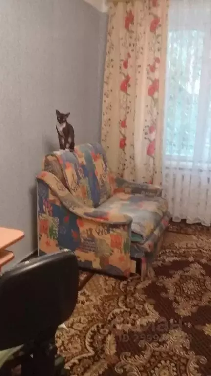 1-к кв. Санкт-Петербург ул. Цимбалина, 56 (32.0 м) - Фото 2