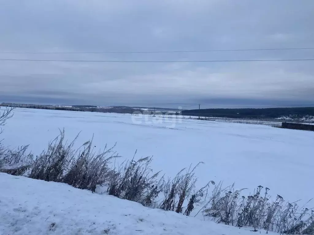 Участок в Нижегородская область, Дальнеконстантиновский муниципальный ... - Фото 1