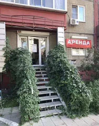 Свободного назначения - Фото 0
