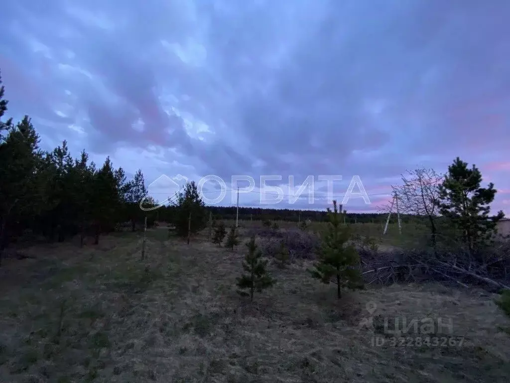 Участок в Свердловская область, Тугулым пгт ул. Новостроящаяся (25.0 ... - Фото 2