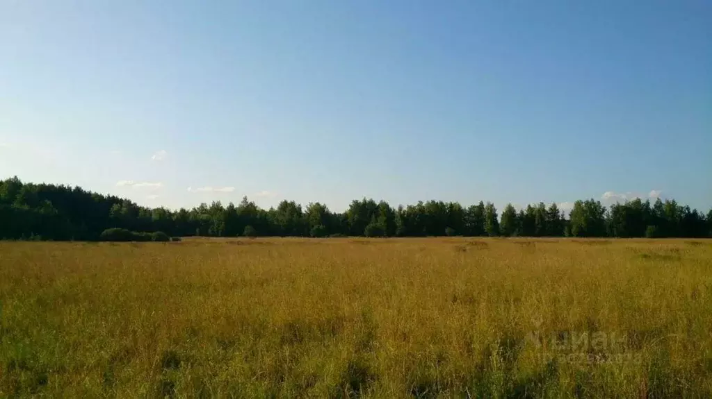 Участок в Московская область, Раменский городской округ, д. Поддубье  ... - Фото 1