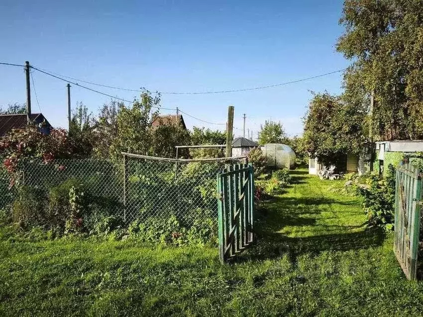 Дом в Новгородская область, Великий Новгород Одуванчик СТ, 103 (25 м) - Фото 2