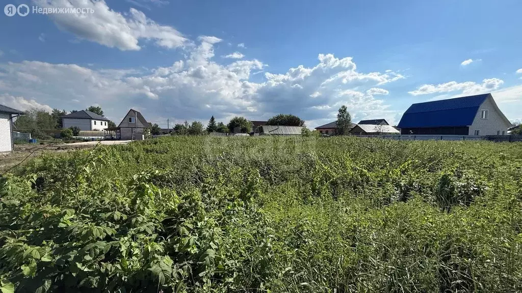 Участок в Тюмень, СНТ Царево (6.76 м) - Фото 2