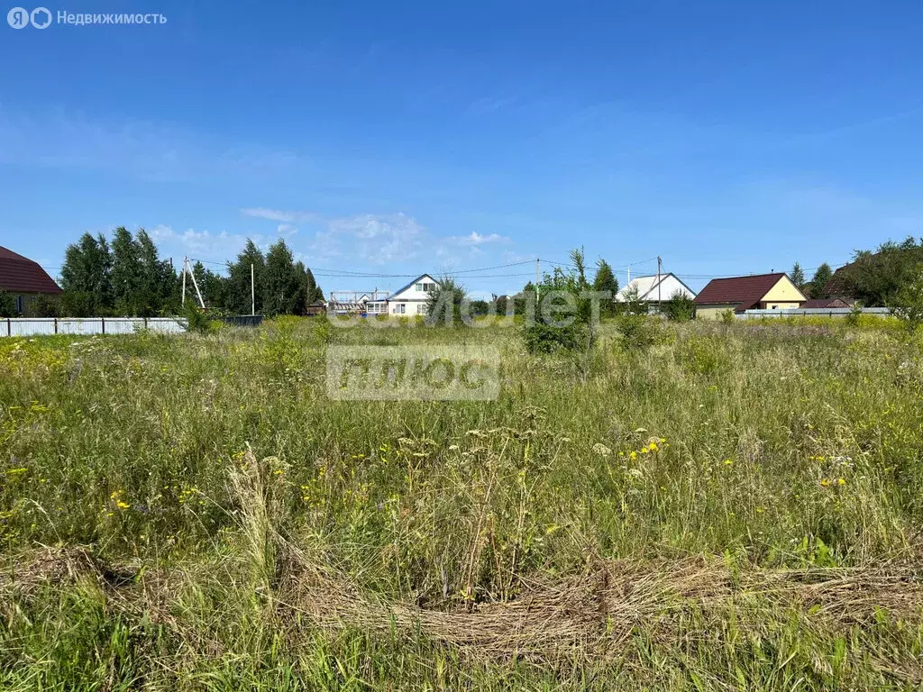 Участок в Омская область, рабочий посёлок Таврическое, Российская ... - Фото 2