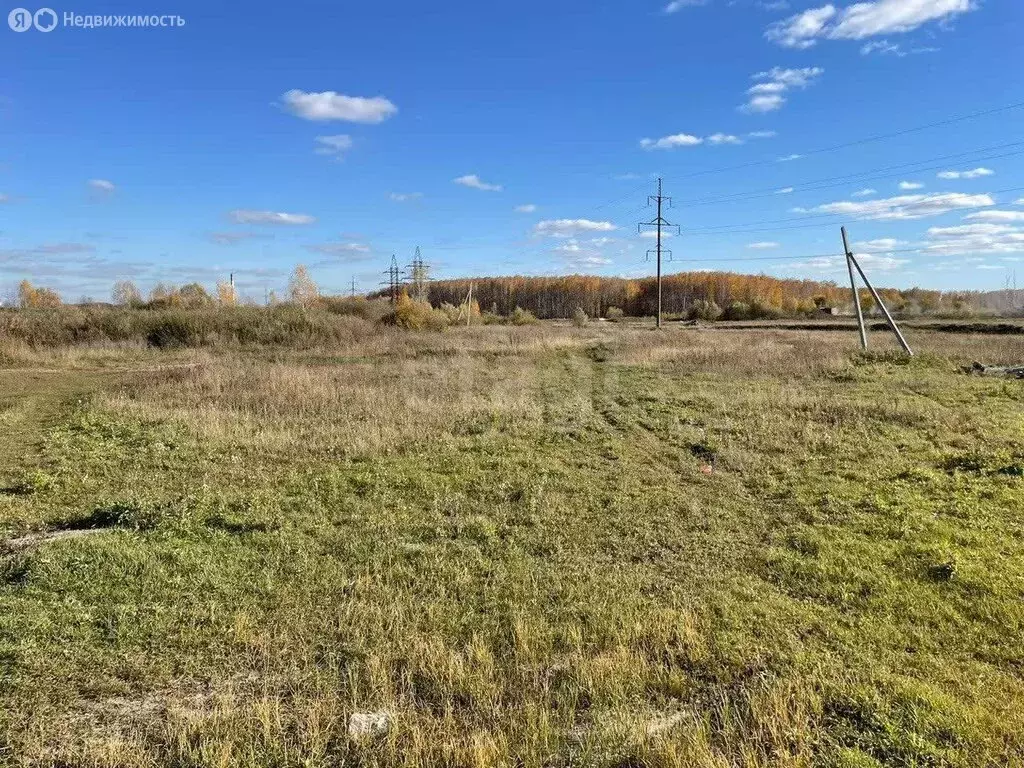 Участок в Криводановский сельсовет, СНТ Рябинка (9 м) - Фото 1