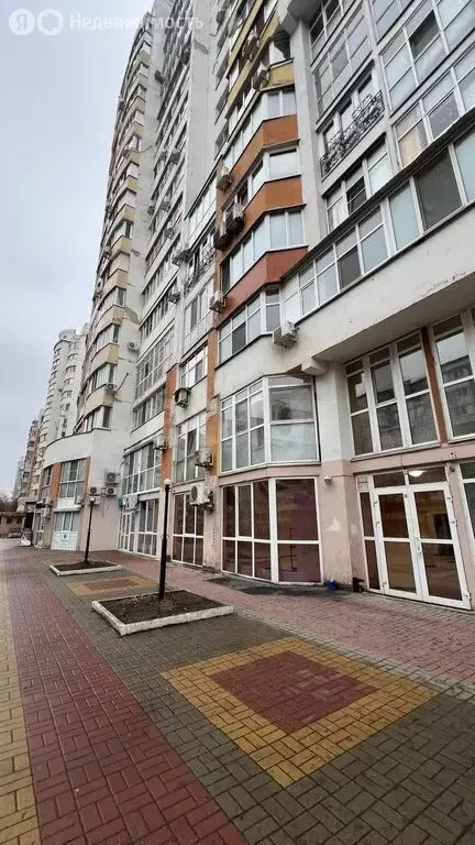 Торговая площадь (147.1 м) - Фото 2