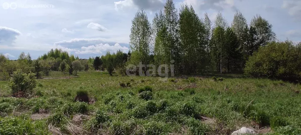 Участок в Свердловская область, Нижний Тагил (10.3 м) - Фото 1