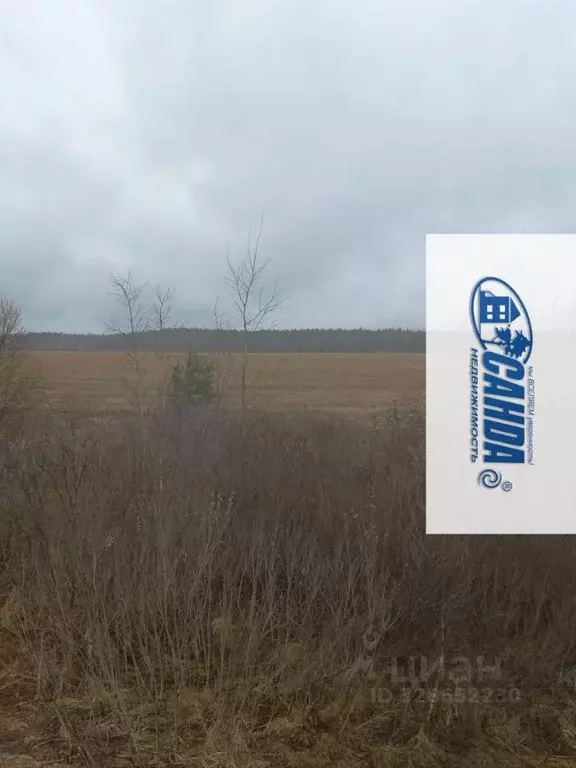 Участок в Тверская область, Калининский муниципальный округ, д. ... - Фото 2