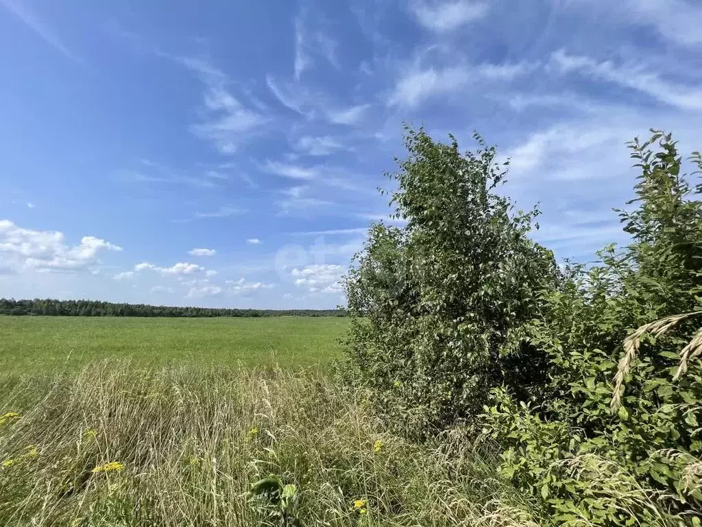 Участок в Смоленская область, Смоленский муниципальный округ, ... - Фото 1
