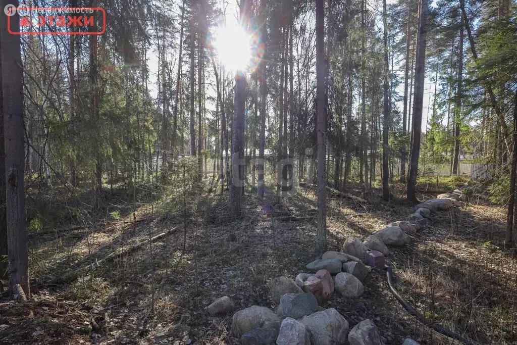 Участок в Шуйское сельское поселение, деревня Бесовец, жилой массив ... - Фото 1