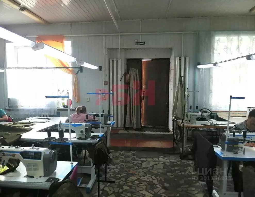 Помещение свободного назначения в Пензенская область, Шемышейка пгт ... - Фото 2