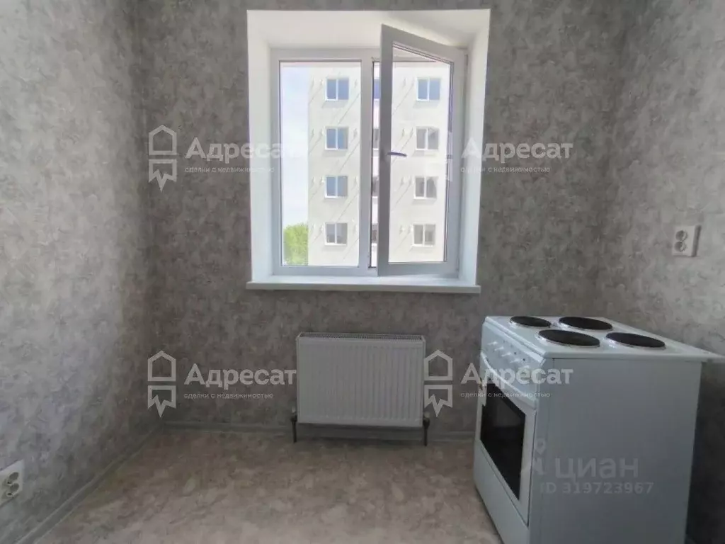 1-к кв. Волгоградская область, Волгоград ул. Ломоносова, 79 (21.7 м) - Фото 1