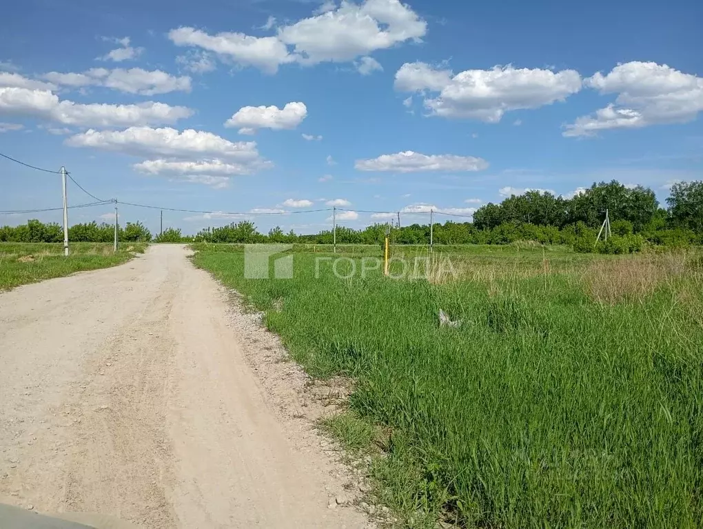 Участок в Алтайский край, Барнаул городской округ, пос. Черницк ул. ... - Фото 1